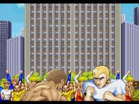 Street Fighter Collection 2, capture d'écran